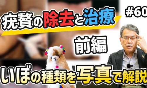 巴载天的功效与主治-巴载胶囊说明书网 - 网站提供巴载有什么功效小常识、巴载天的功效与主治